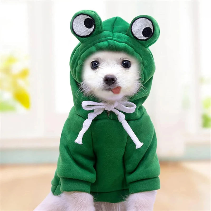 Roupas de inverno com capuz para cães pequenos, incluindo casacos, jaquetas e acessórios para manter o pet aquecido e estiloso.