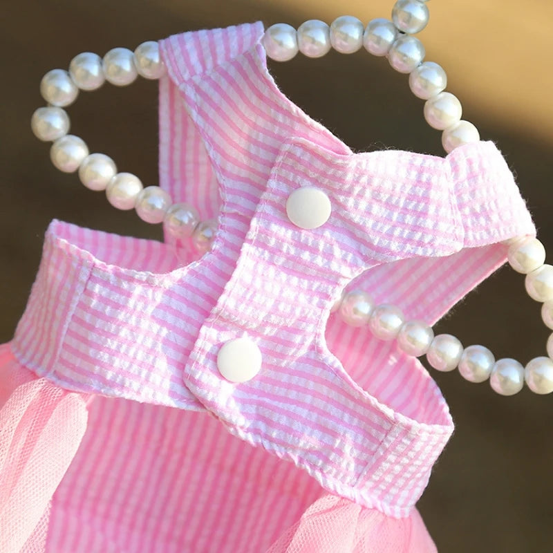 ✨ Deixe seu amorzinho ainda mais encantador! 💕 Vestidos e saias com renda e listras, perfeitos para cães e gatinhos — conforto, estilo e muito carinho em cada detalhe! 🐶🐱