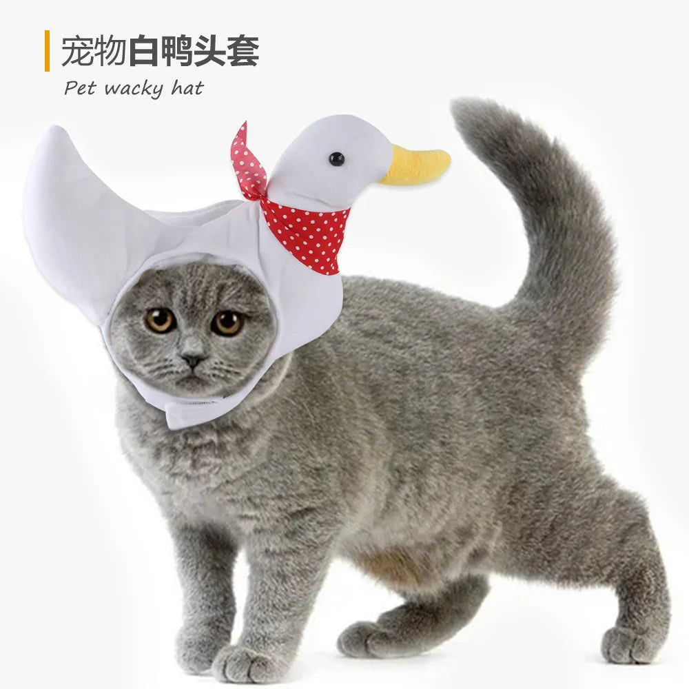 Chapéu fofo e aconchegante para gatos e filhotes, feito de pelúcia ou malha com elástico, ideal para o inverno, festas, cosplay ou decoração pet.