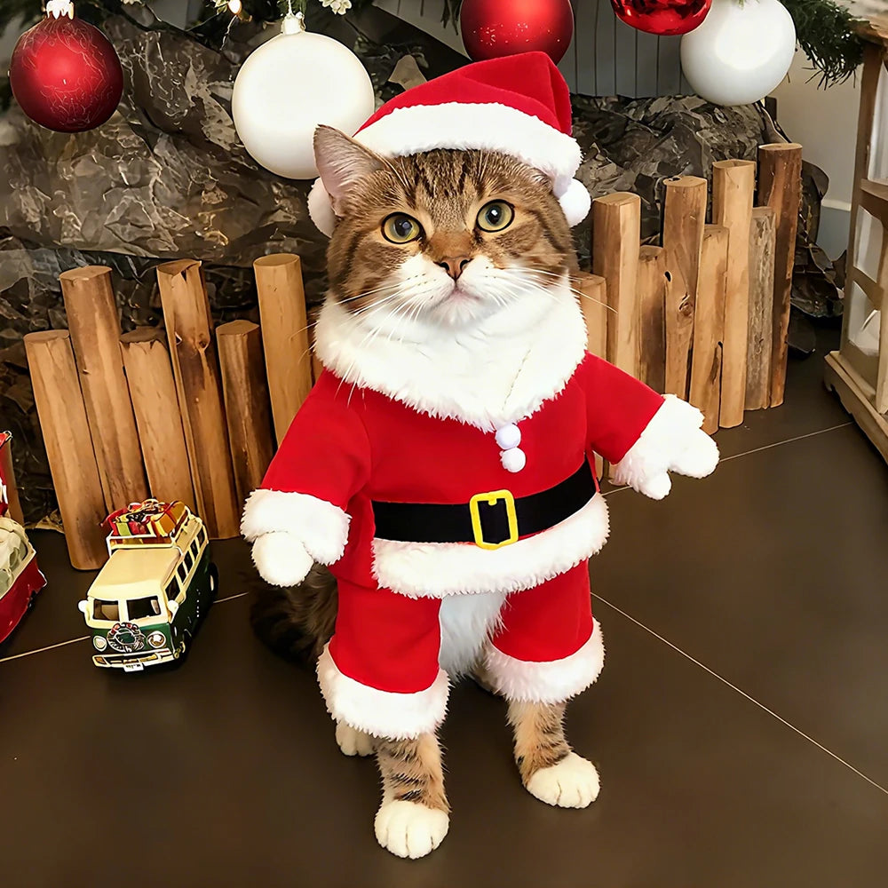 Fantasias de Natal para Pets: Roupas fofas de Papai Noel para gatinhos, ideais para cães e gatos de pequeno e médio porte. Perfeitas para festas de fim de ano.