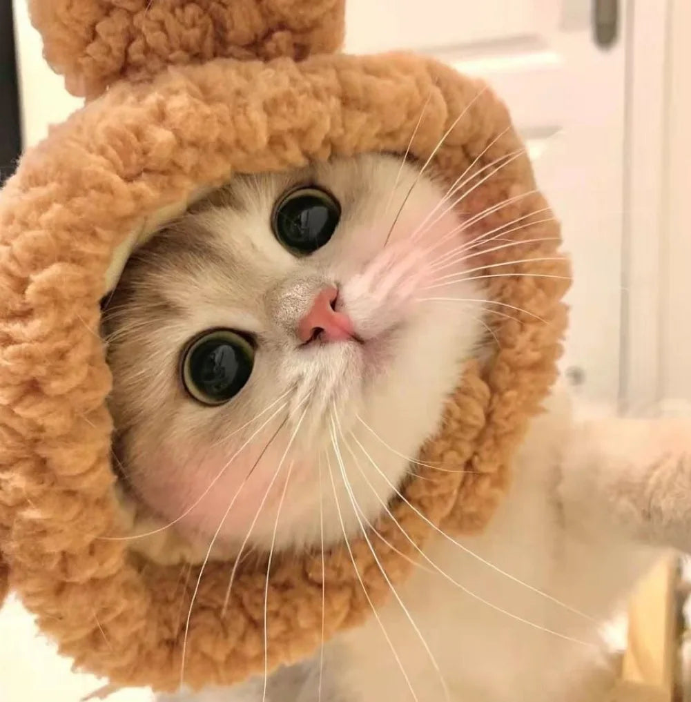 Chapéu fofo e aconchegante para gatos e filhotes, feito de pelúcia ou malha com elástico, ideal para o inverno, festas, cosplay ou decoração pet.