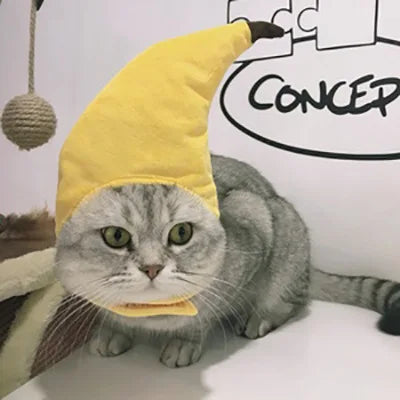 Chapéu fofo e aconchegante para gatos e filhotes, feito de pelúcia ou malha com elástico, ideal para o inverno, festas, cosplay ou decoração pet.