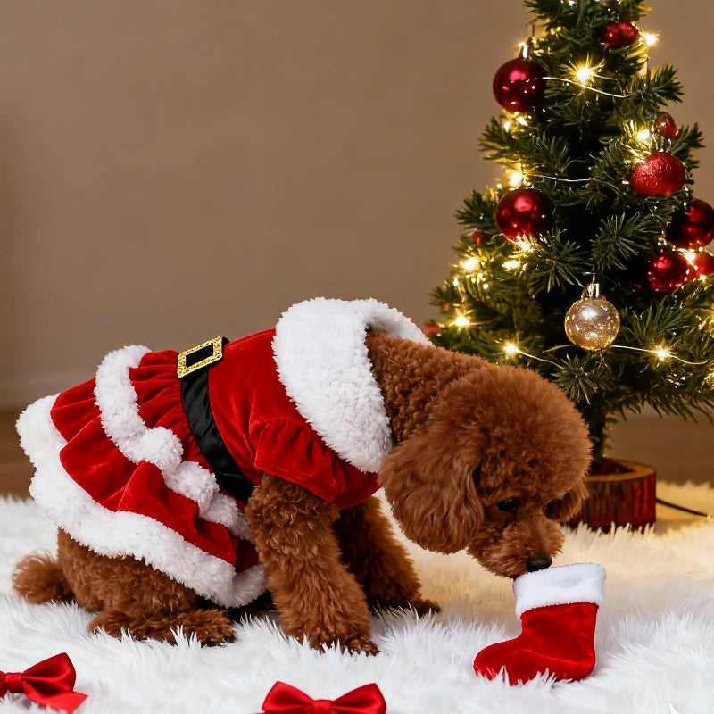 🎄 Encante neste Natal! 🐾 Vestidos e fantasias natalinas fofas e confortáveis para cães e gatinhos — tecido leve, toque macio e muito espírito festivo! 🎅✨❤️