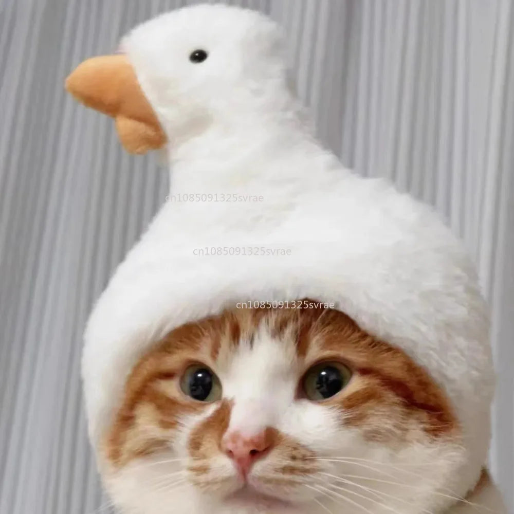 Chapéu fofo e aconchegante para gatos e filhotes, feito de pelúcia ou malha com elástico, ideal para o inverno, festas, cosplay ou decoração pet.