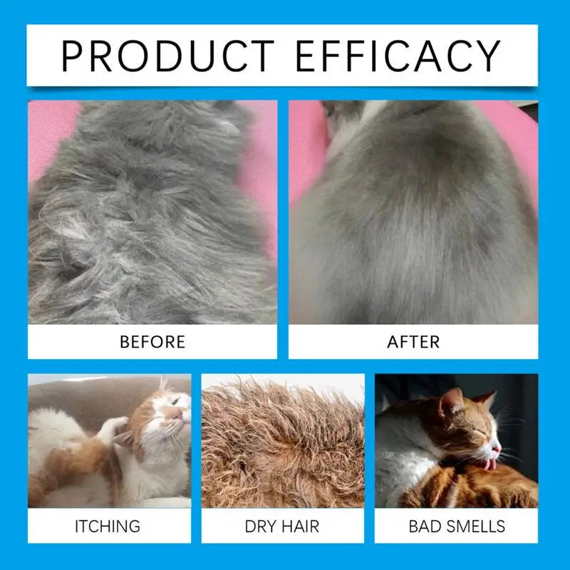 Shampoo antipulgas seco para gatos, de secagem rápida, sem enxágue e seguro para lamber – fórmula suave em espuma, ideal para a higiene prática dos felinos.
