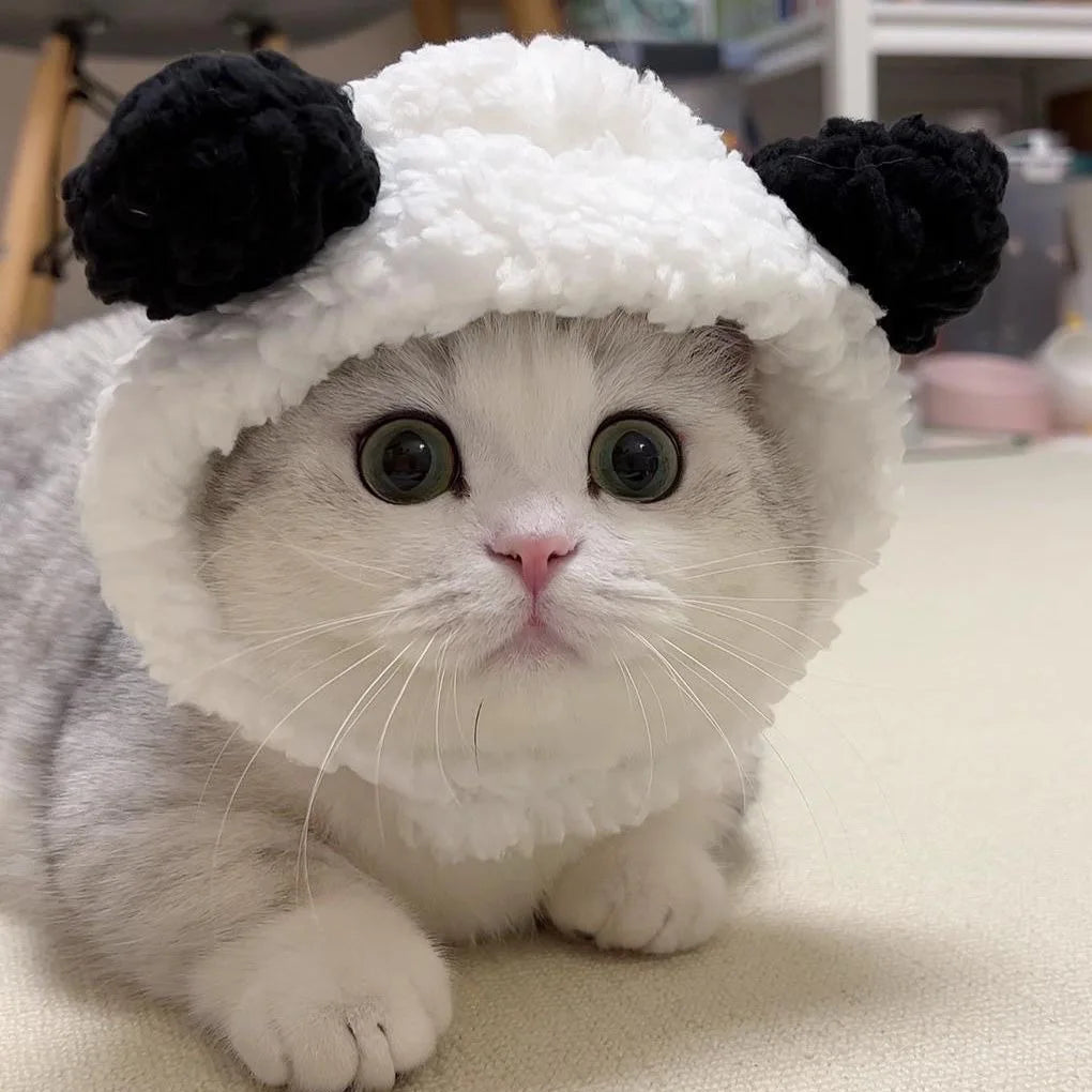 Chapéu fofo e aconchegante para gatos e filhotes, feito de pelúcia ou malha com elástico, ideal para o inverno, festas, cosplay ou decoração pet.