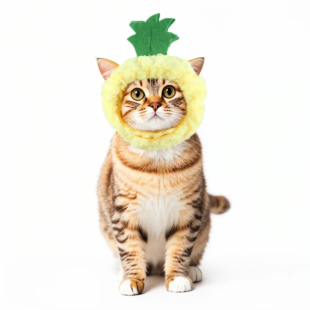 Chapéu fofo e aconchegante para gatos e filhotes, feito de pelúcia ou malha com elástico, ideal para o inverno, festas, cosplay ou decoração pet.