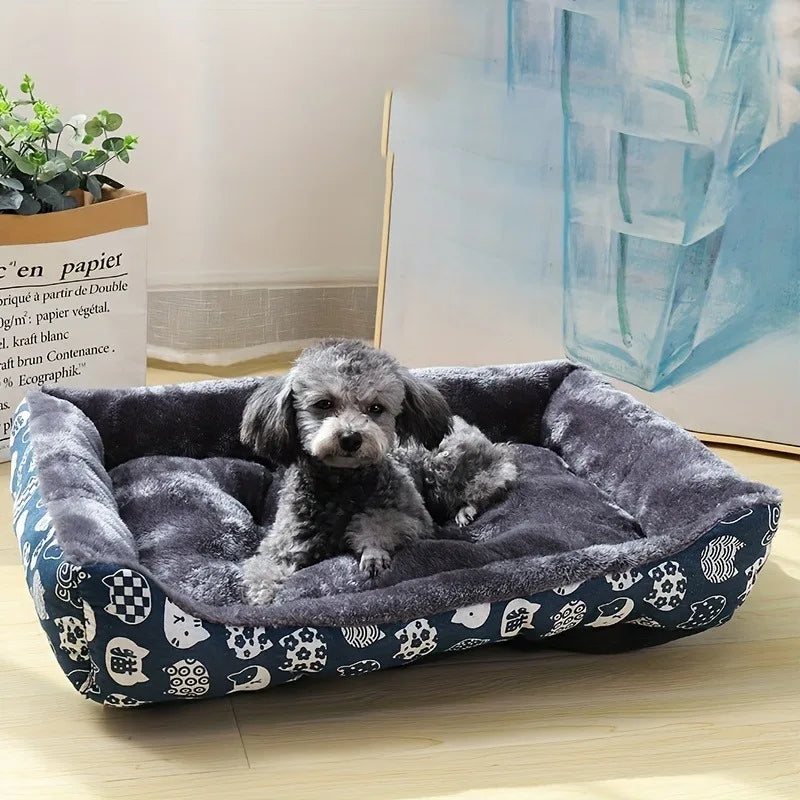 Camas, sofás, tapetes e acessórios para cães e gatos de todos os portes – inclui camas tipo cesta (Coussin Chien) e outros suprimentos para pets em casas pequenas, médias e grandes.