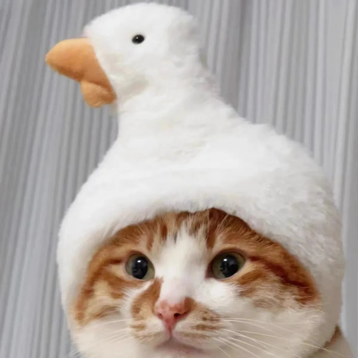 Chapéu fofo e aconchegante para gatos e filhotes, feito de pelúcia ou malha com elástico, ideal para o inverno, festas, cosplay ou decoração pet.