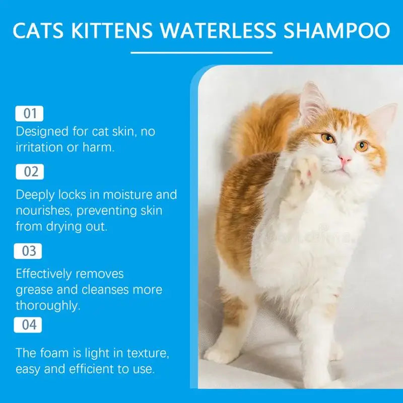Shampoo antipulgas seco para gatos, de secagem rápida, sem enxágue e seguro para lamber – fórmula suave em espuma, ideal para a higiene prática dos felinos.