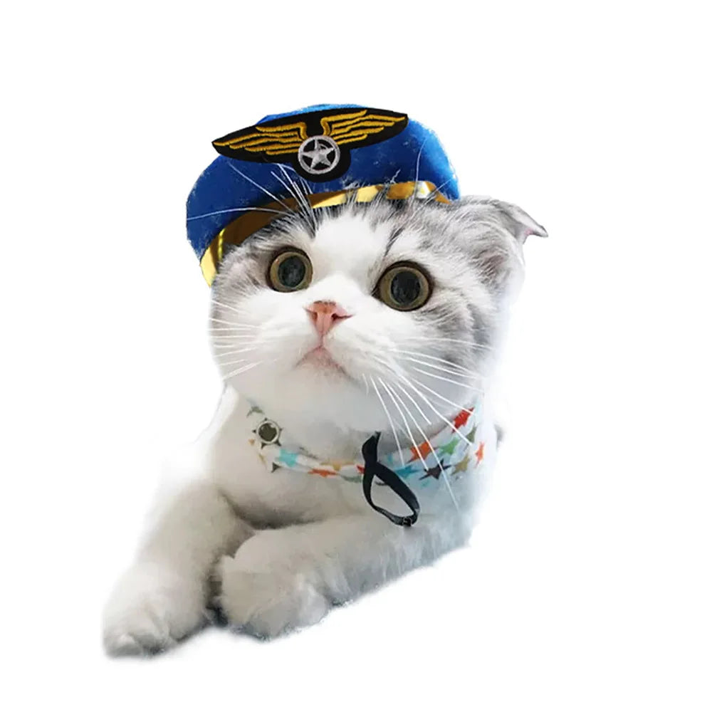 Chapéu fofo e aconchegante para gatos e filhotes, feito de pelúcia ou malha com elástico, ideal para o inverno, festas, cosplay ou decoração pet.