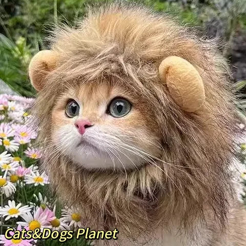 Chapéu fofo e aconchegante para gatos e filhotes, feito de pelúcia ou malha com elástico, ideal para o inverno, festas, cosplay ou decoração pet.