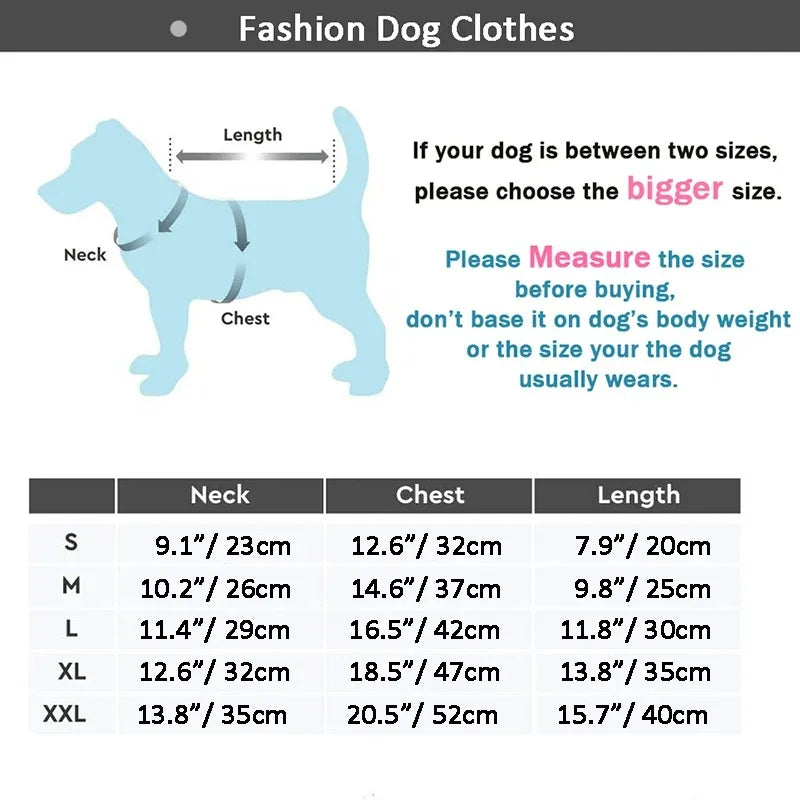 ❄️ Mantenha seu pet quentinho e estiloso! 🐾 Moletons e acessórios macios e luxuosos para cães de todos os tamanhos com conforto, amor e fofura em cada peça! 💕🐶✨