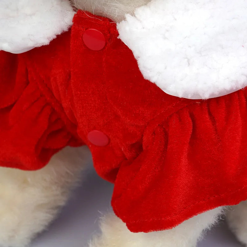🎄 Encante neste Natal! 🐾 Vestidos e fantasias natalinas fofas e confortáveis para cães e gatinhos — tecido leve, toque macio e muito espírito festivo! 🎅✨❤️