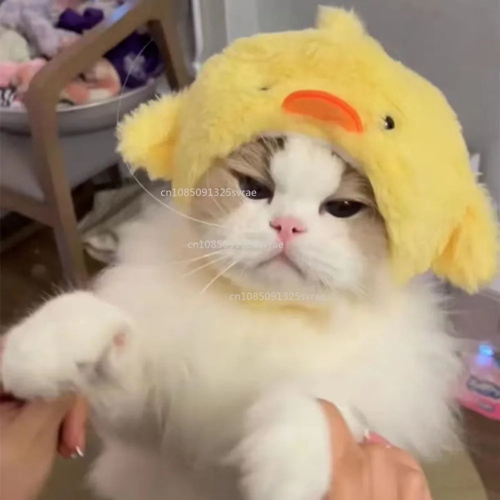 Chapéu fofo e aconchegante para gatos e filhotes, feito de pelúcia ou malha com elástico, ideal para o inverno, festas, cosplay ou decoração pet.