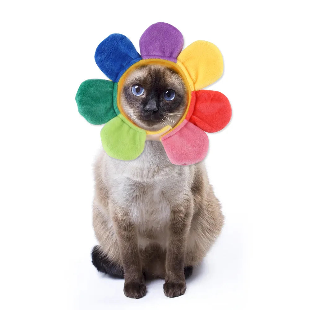 Chapéu fofo e aconchegante para gatos e filhotes, feito de pelúcia ou malha com elástico, ideal para o inverno, festas, cosplay ou decoração pet.