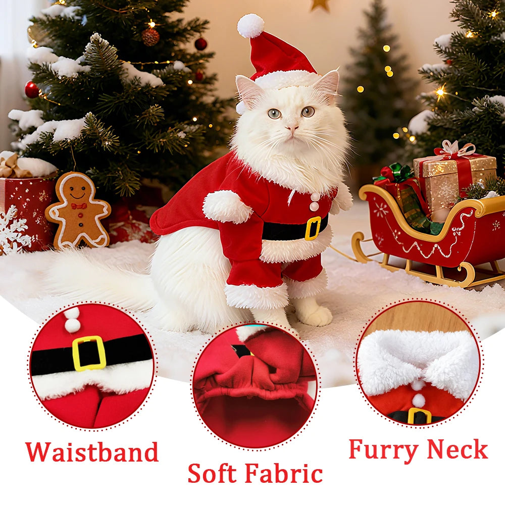 Fantasias de Natal para Pets: Roupas fofas de Papai Noel para gatinhos, ideais para cães e gatos de pequeno e médio porte. Perfeitas para festas de fim de ano.