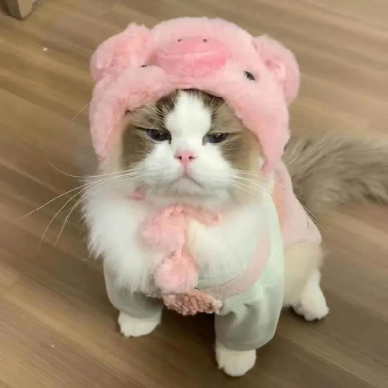 Chapéu fofo e aconchegante para gatos e filhotes, feito de pelúcia ou malha com elástico, ideal para o inverno, festas, cosplay ou decoração pet.