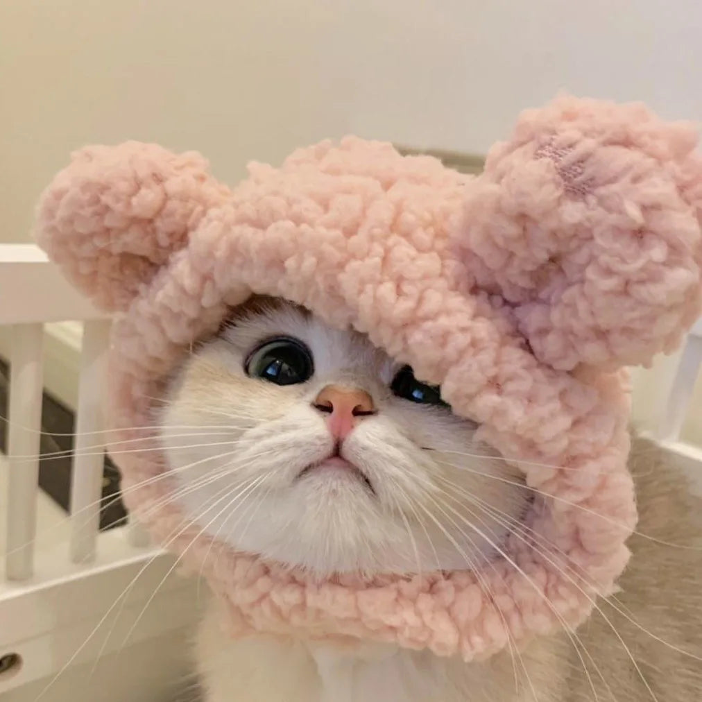 Chapéu fofo e aconchegante para gatos e filhotes, feito de pelúcia ou malha com elástico, ideal para o inverno, festas, cosplay ou decoração pet.