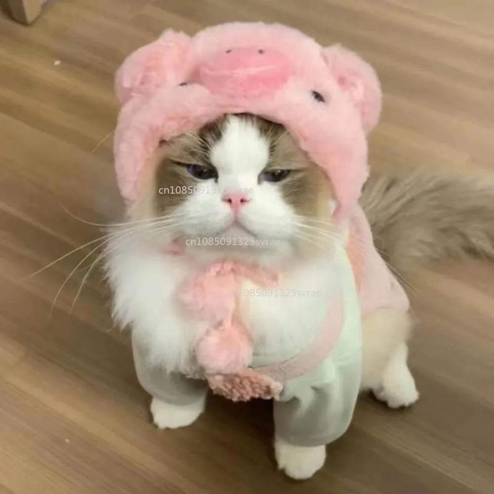 Chapéu fofo e aconchegante para gatos e filhotes, feito de pelúcia ou malha com elástico, ideal para o inverno, festas, cosplay ou decoração pet.