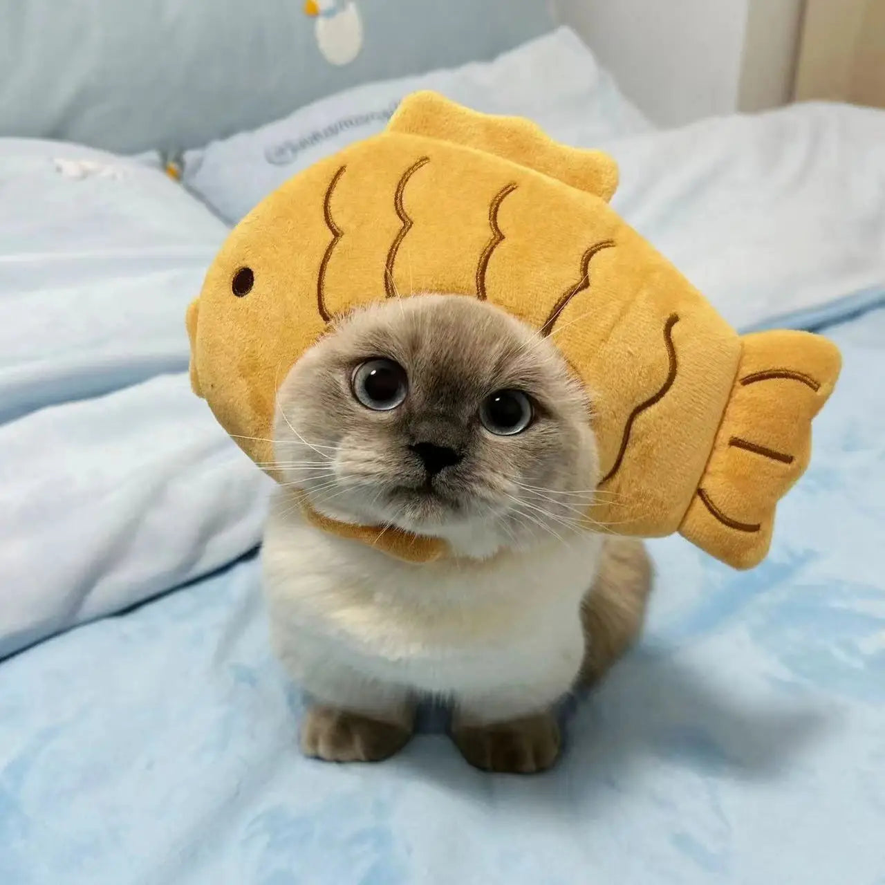 Chapéu fofo e aconchegante para gatos e filhotes, feito de pelúcia ou malha com elástico, ideal para o inverno, festas, cosplay ou decoração pet.