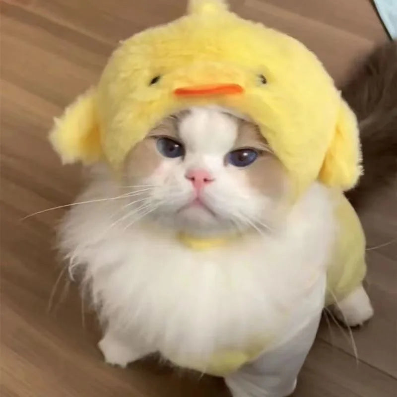 Chapéu fofo e aconchegante para gatos e filhotes, feito de pelúcia ou malha com elástico, ideal para o inverno, festas, cosplay ou decoração pet.