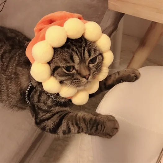 Chapéu fofo e aconchegante para gatos e filhotes, feito de pelúcia ou malha com elástico, ideal para o inverno, festas, cosplay ou decoração pet.