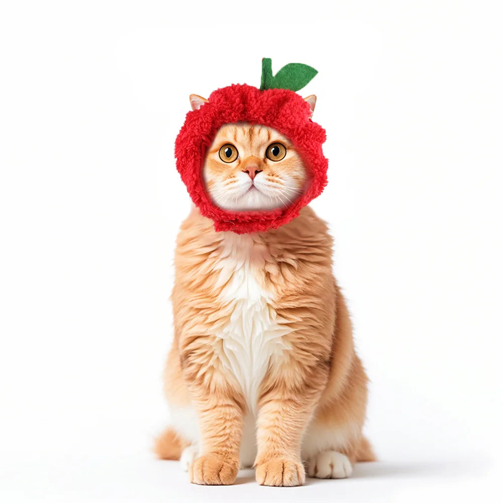 Chapéu fofo e aconchegante para gatos e filhotes, feito de pelúcia ou malha com elástico, ideal para o inverno, festas, cosplay ou decoração pet.