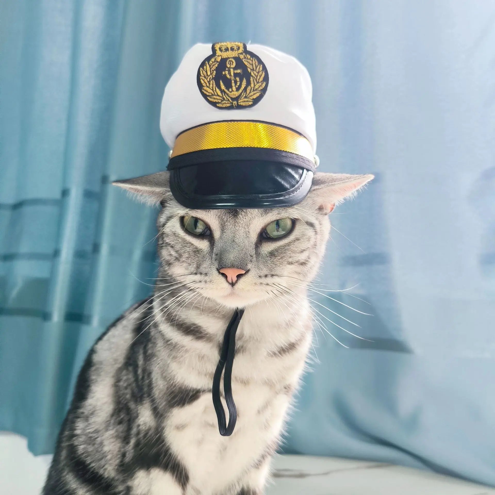Chapéu fofo e aconchegante para gatos e filhotes, feito de pelúcia ou malha com elástico, ideal para o inverno, festas, cosplay ou decoração pet.
