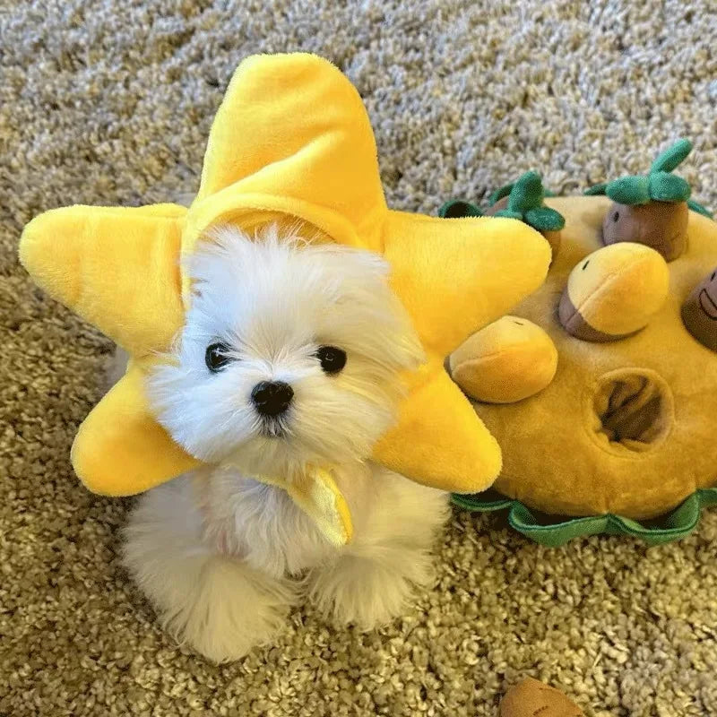 Chapéu fofo e aconchegante para gatos e filhotes, feito de pelúcia ou malha com elástico, ideal para o inverno, festas, cosplay ou decoração pet.