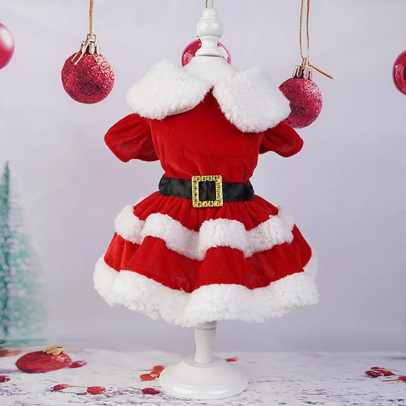 🎄 Encante neste Natal! 🐾 Vestidos e fantasias natalinas fofas e confortáveis para cães e gatinhos — tecido leve, toque macio e muito espírito festivo! 🎅✨❤️