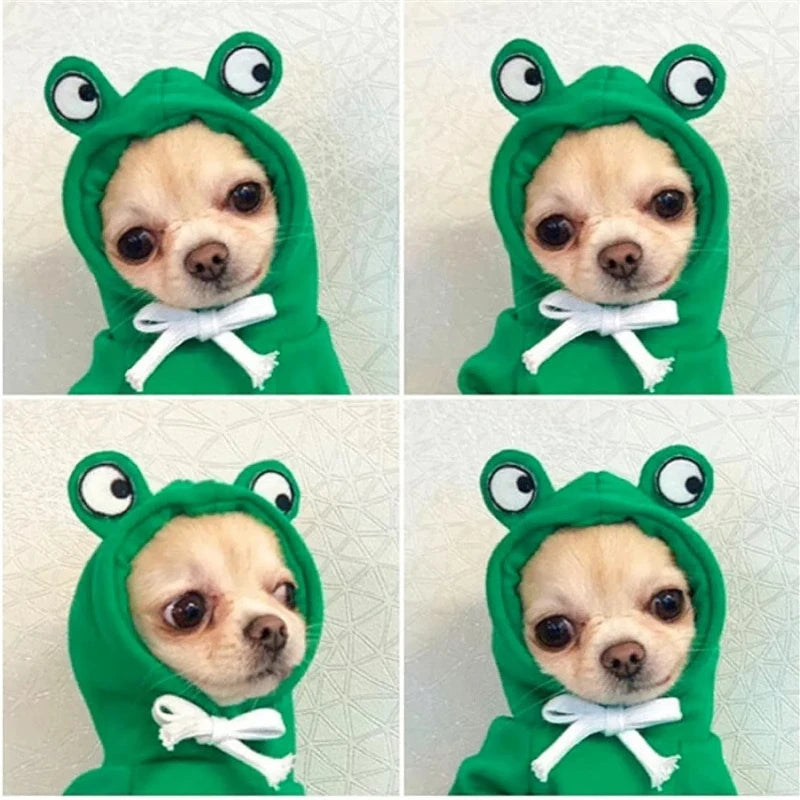 Roupas de inverno com capuz para cães pequenos, incluindo casacos, jaquetas e acessórios para manter o pet aquecido e estiloso.